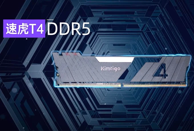 T4 DDR5